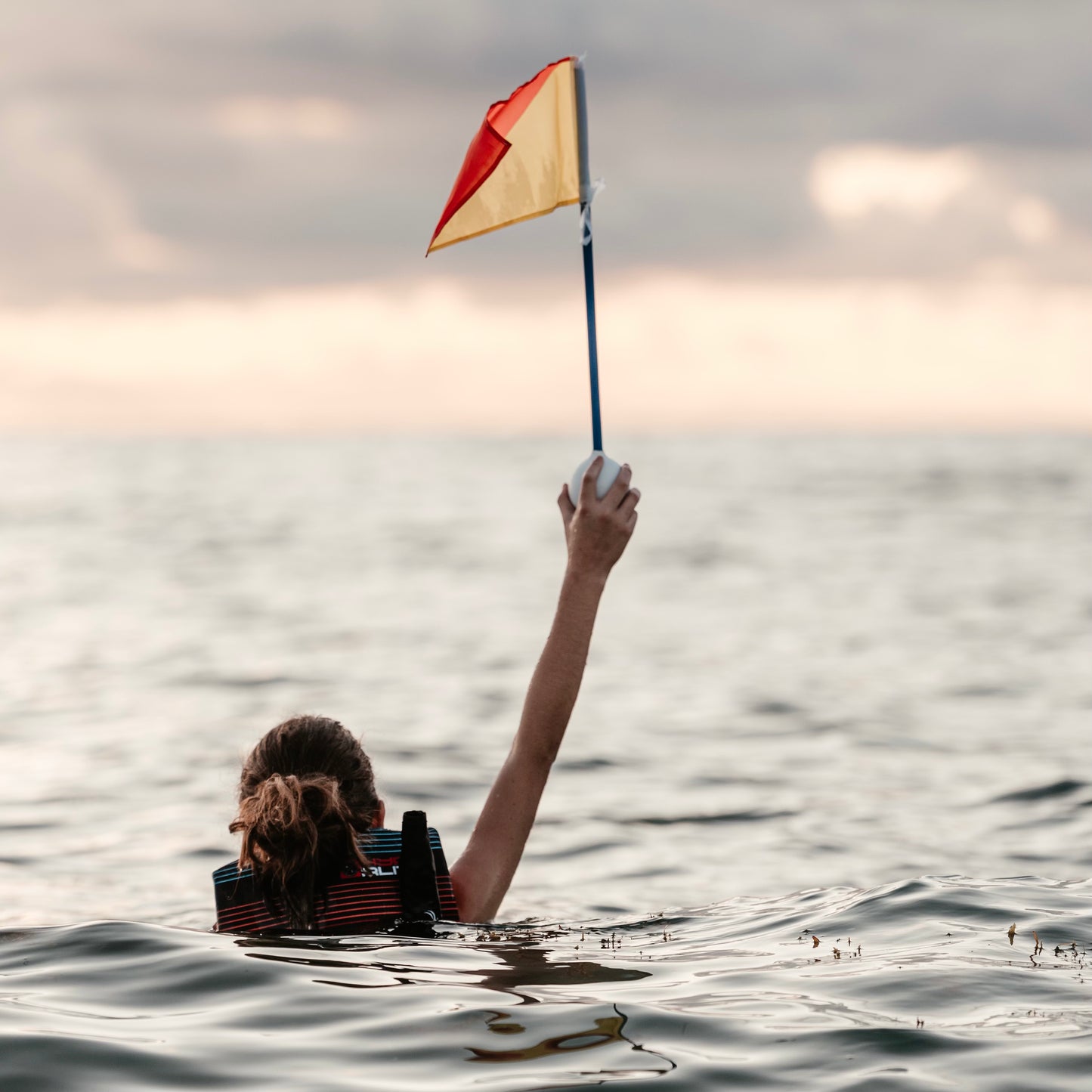 FlagGuard Safety Flag