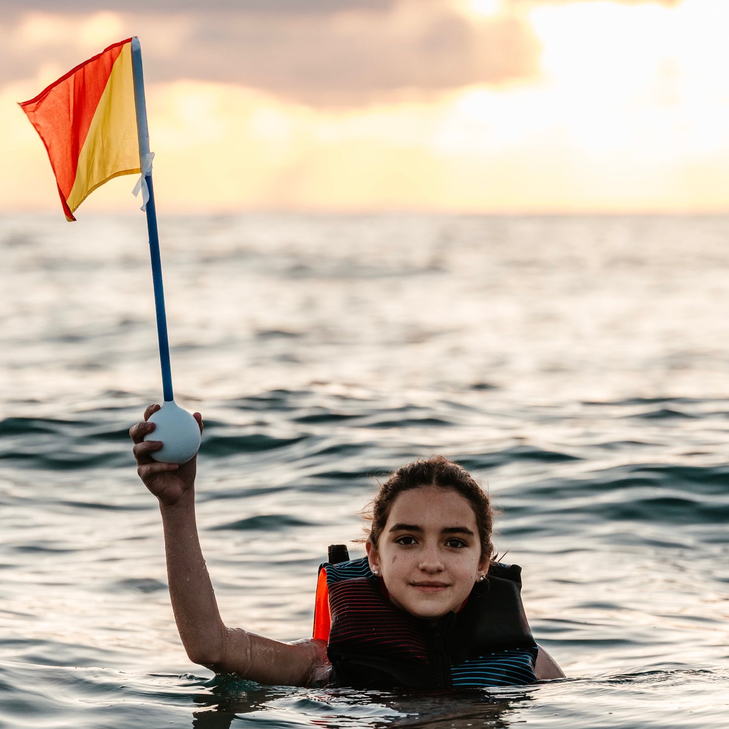 FlagGuard Safety Flag
